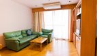 One of a kind, 1 Bedroom Condo for Rent at Asoke Place